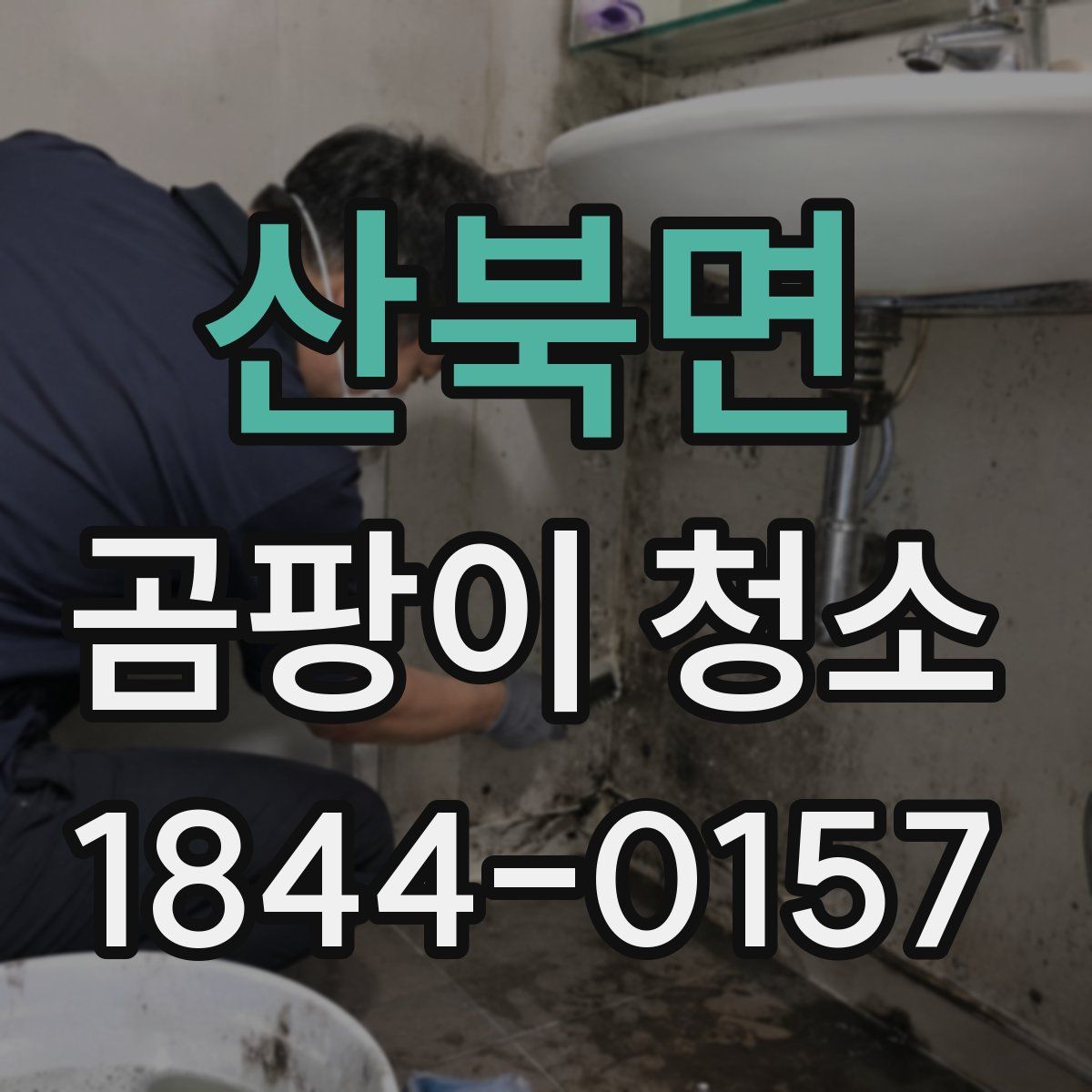 산북면 곰팡이 청소