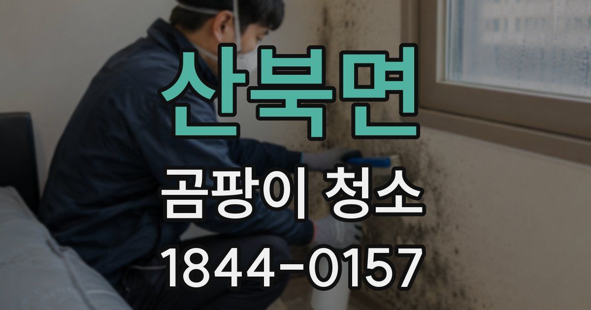 산북면 곰팡이 청소