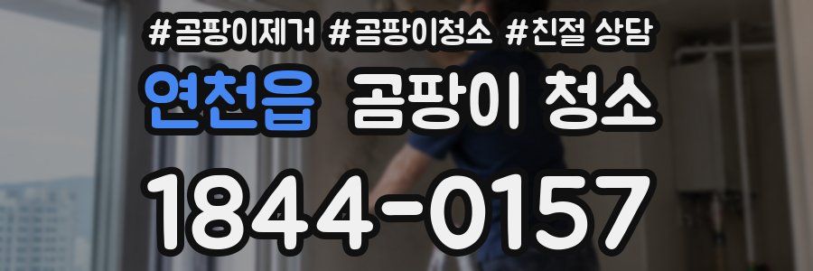 연천읍 곰팡이 청소