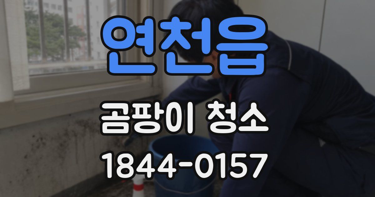 연천읍 곰팡이 청소