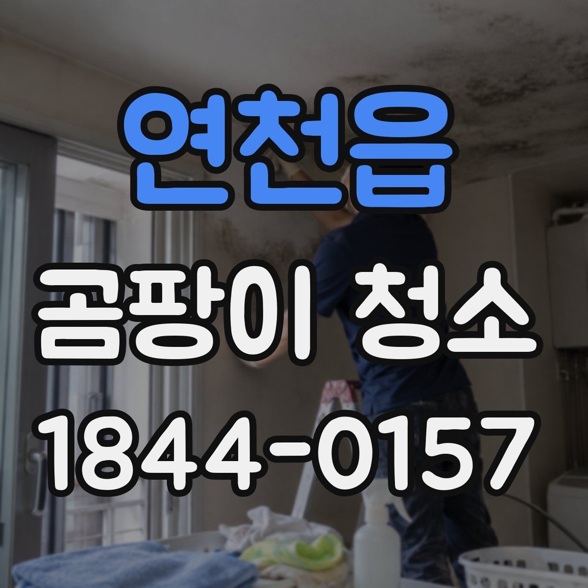 연천읍 곰팡이 청소