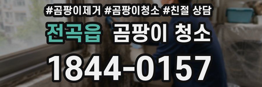 전곡읍 곰팡이 청소
