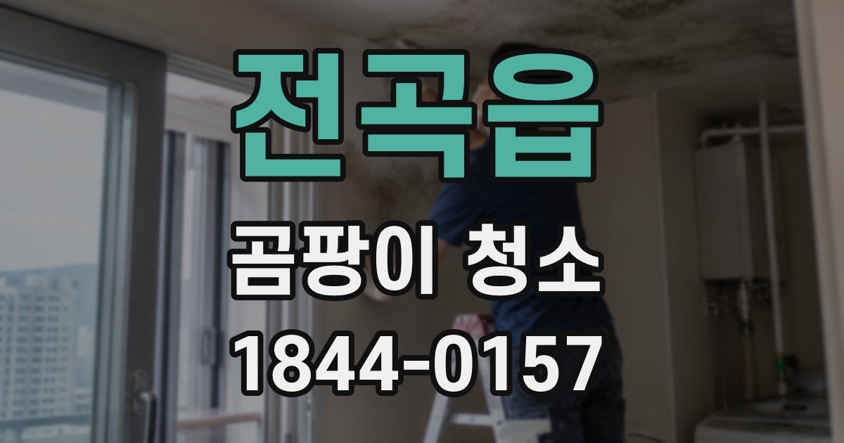 전곡읍 곰팡이 청소