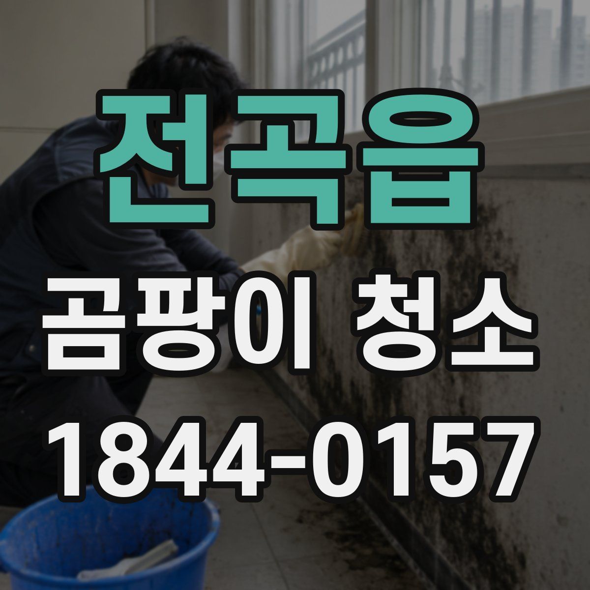 전곡읍 곰팡이 청소