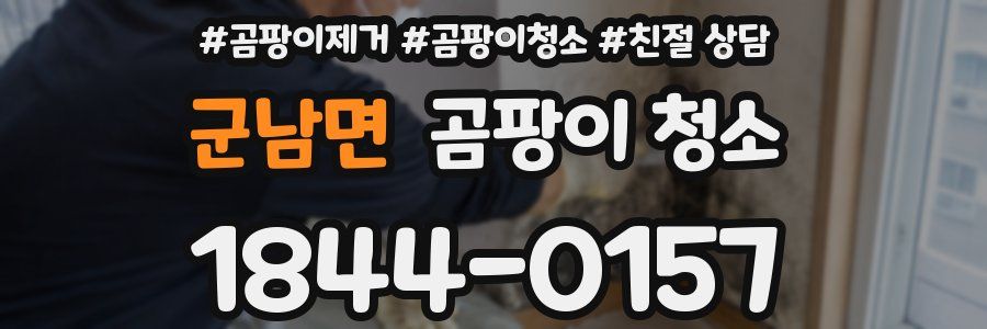 군남면 곰팡이 청소