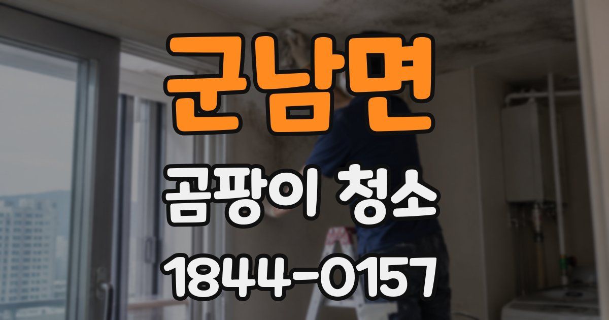 군남면 곰팡이 청소