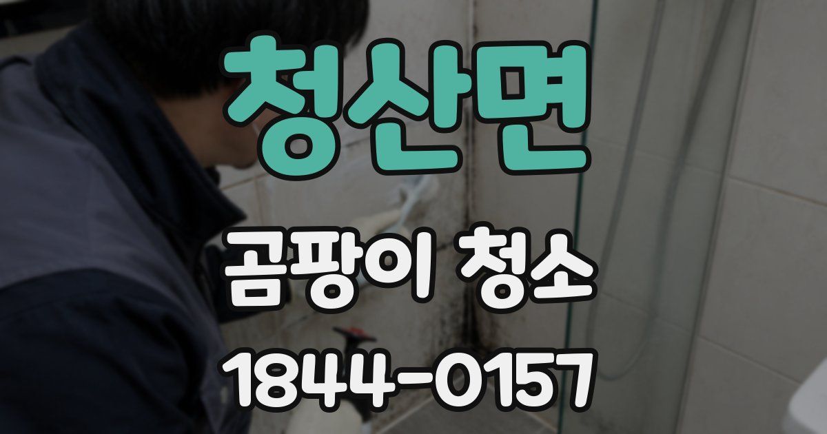 청산면 곰팡이 청소