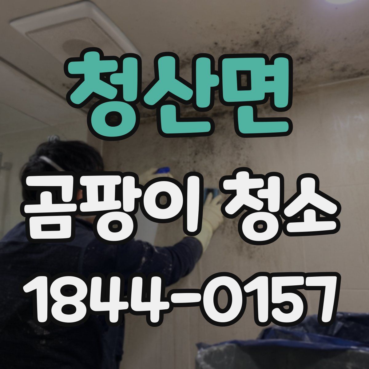 청산면 곰팡이 청소