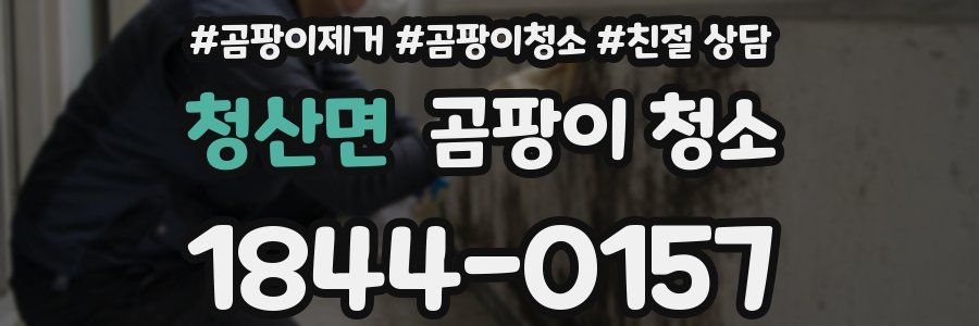 청산면 곰팡이 청소