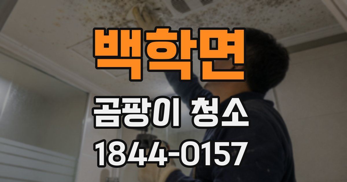 백학면 곰팡이 청소