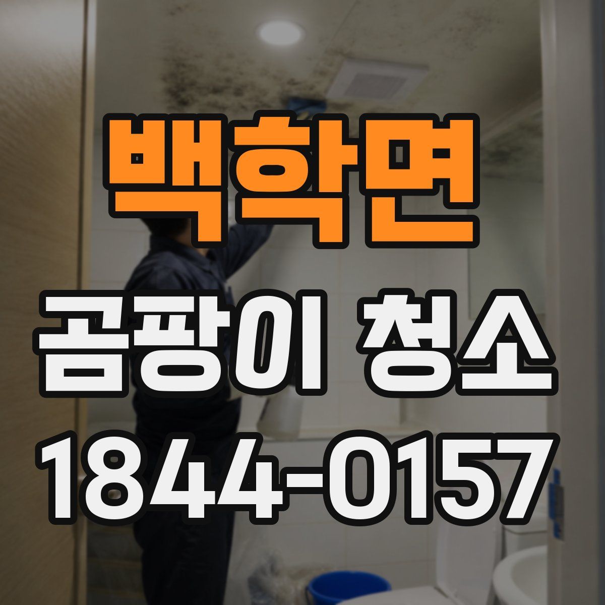 백학면 곰팡이 청소