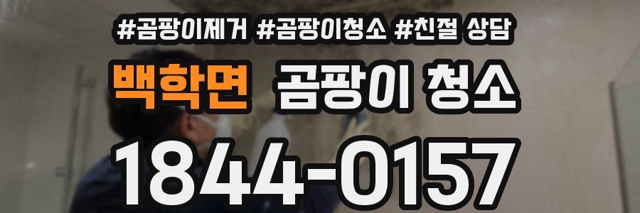 백학면 곰팡이 청소
