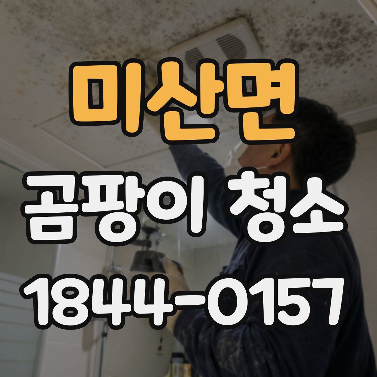 미산면 곰팡이 청소