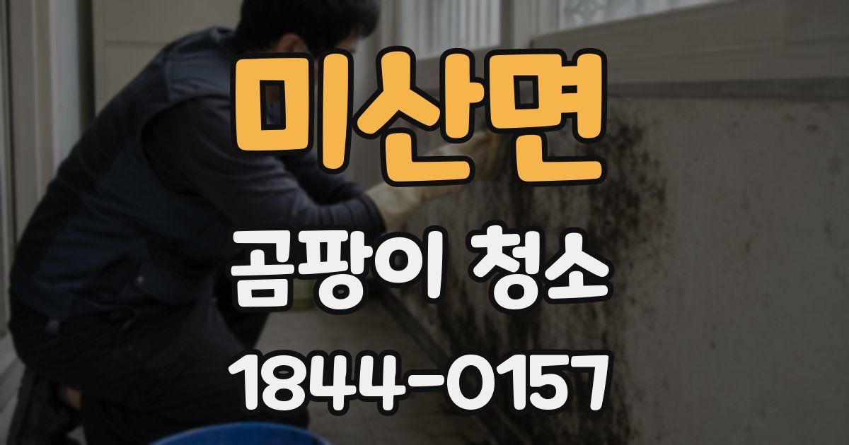 미산면 곰팡이 청소