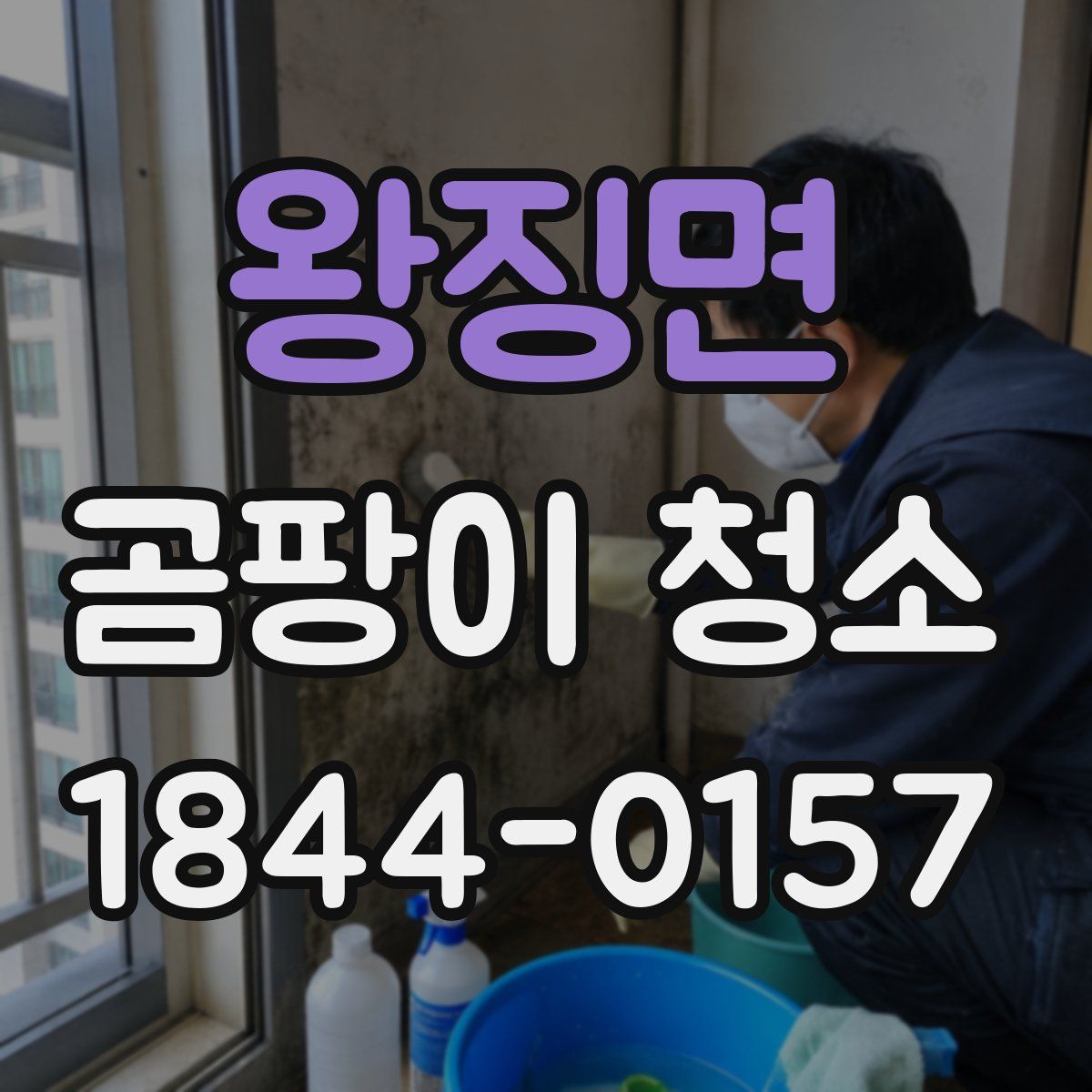 왕징면 곰팡이 청소