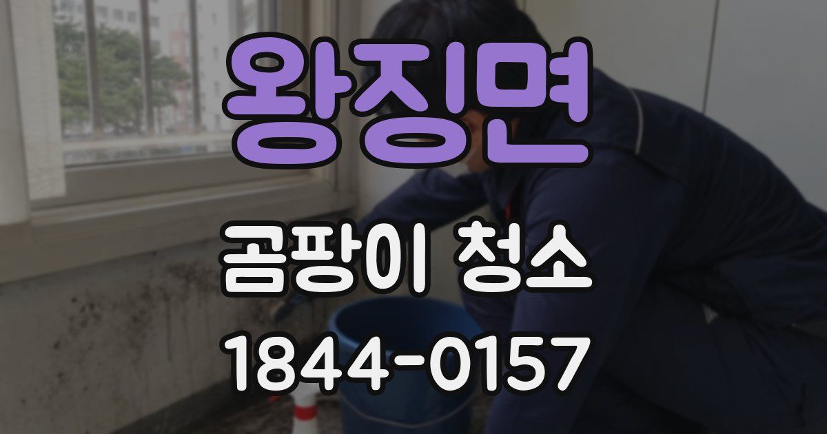 왕징면 곰팡이 청소