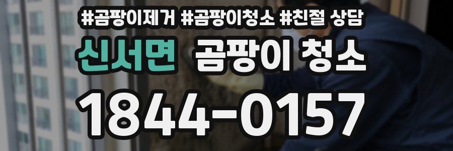 신서면 곰팡이 청소