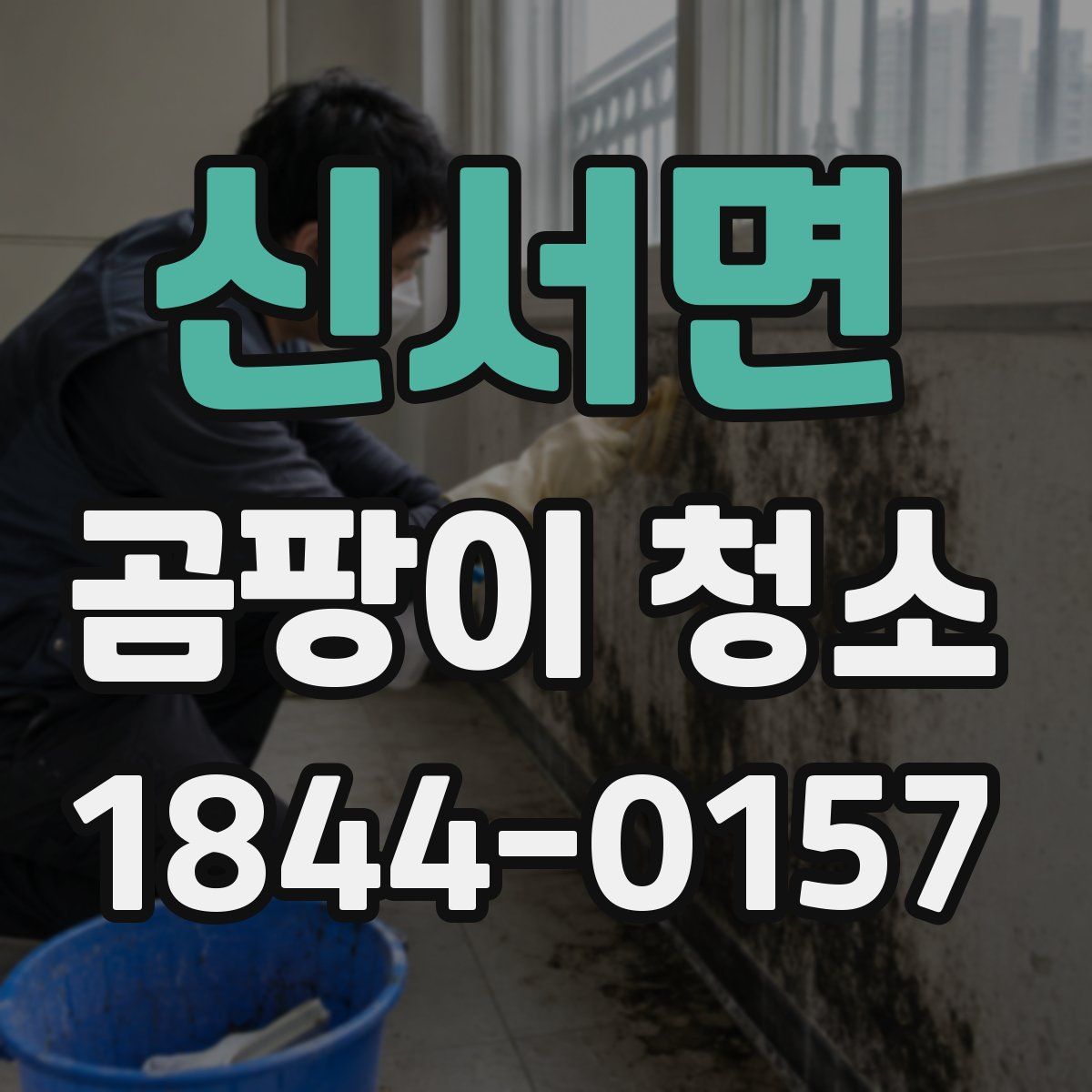 신서면 곰팡이 청소