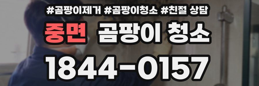 중면 곰팡이 청소