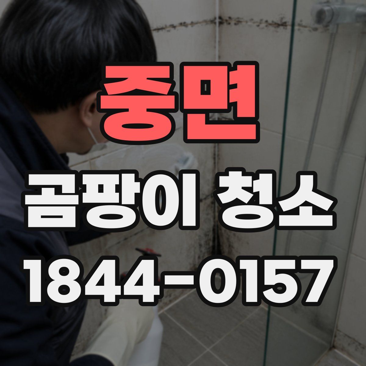 중면 곰팡이 청소