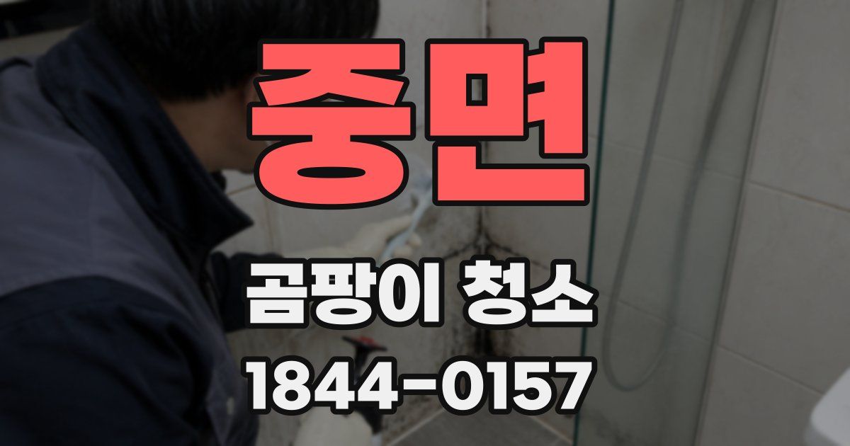 중면 곰팡이 청소