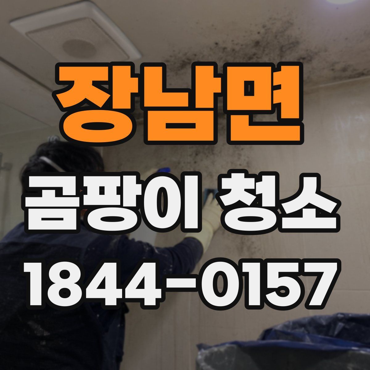 장남면 곰팡이 청소
