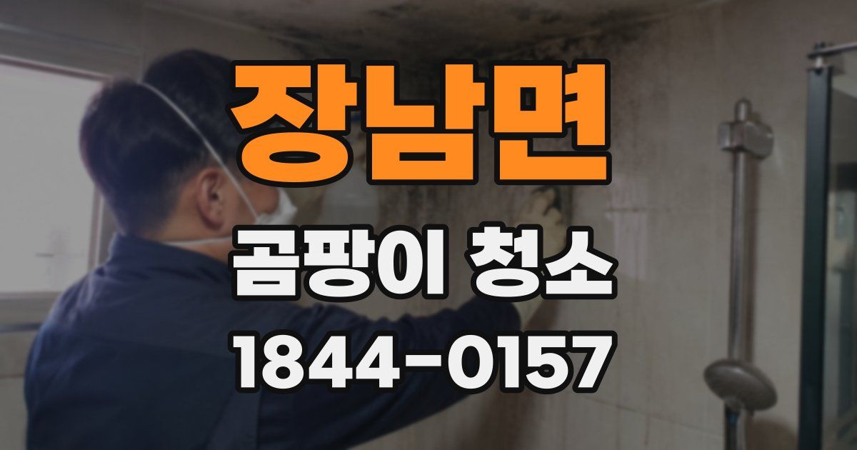 장남면 곰팡이 청소