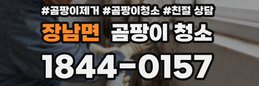 장남면 곰팡이 청소