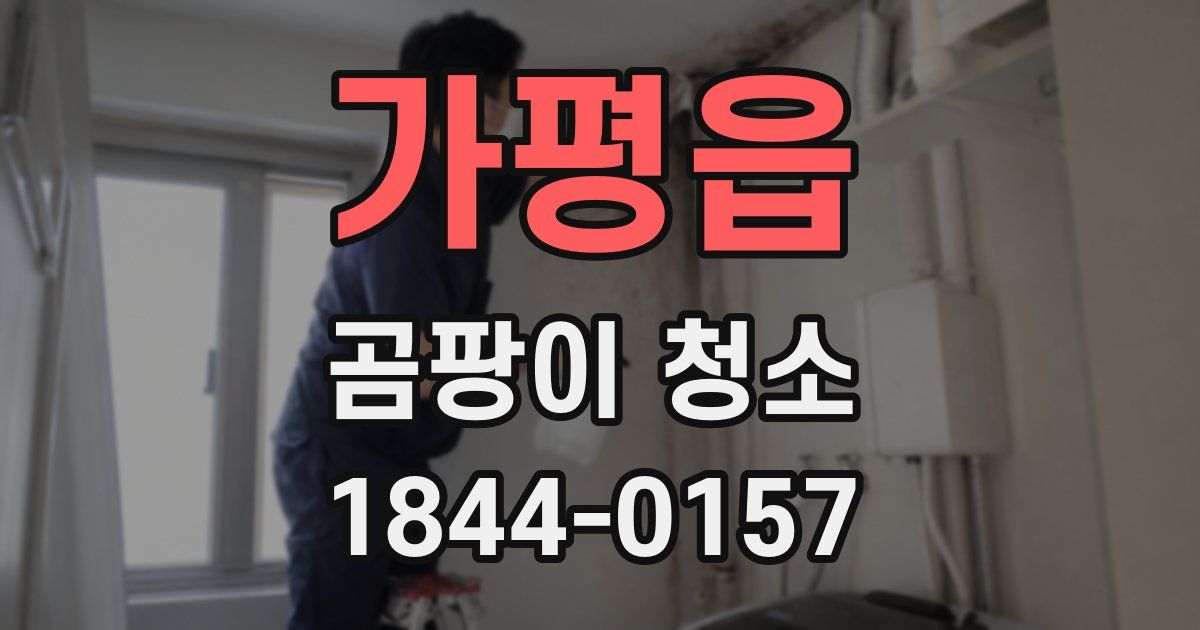 가평읍 곰팡이 청소