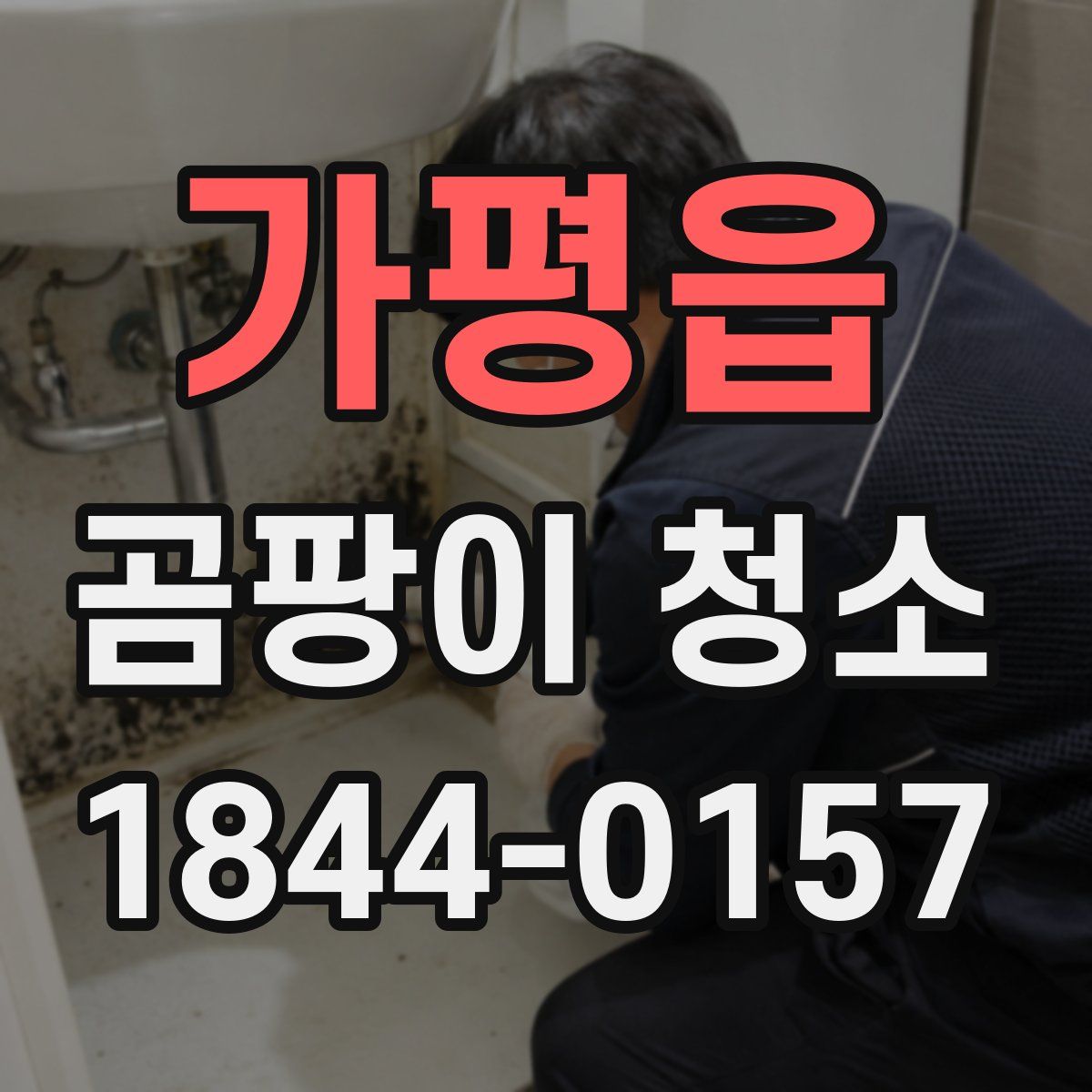 가평읍 곰팡이 청소