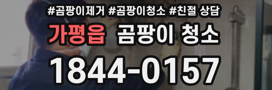 가평읍 곰팡이 청소