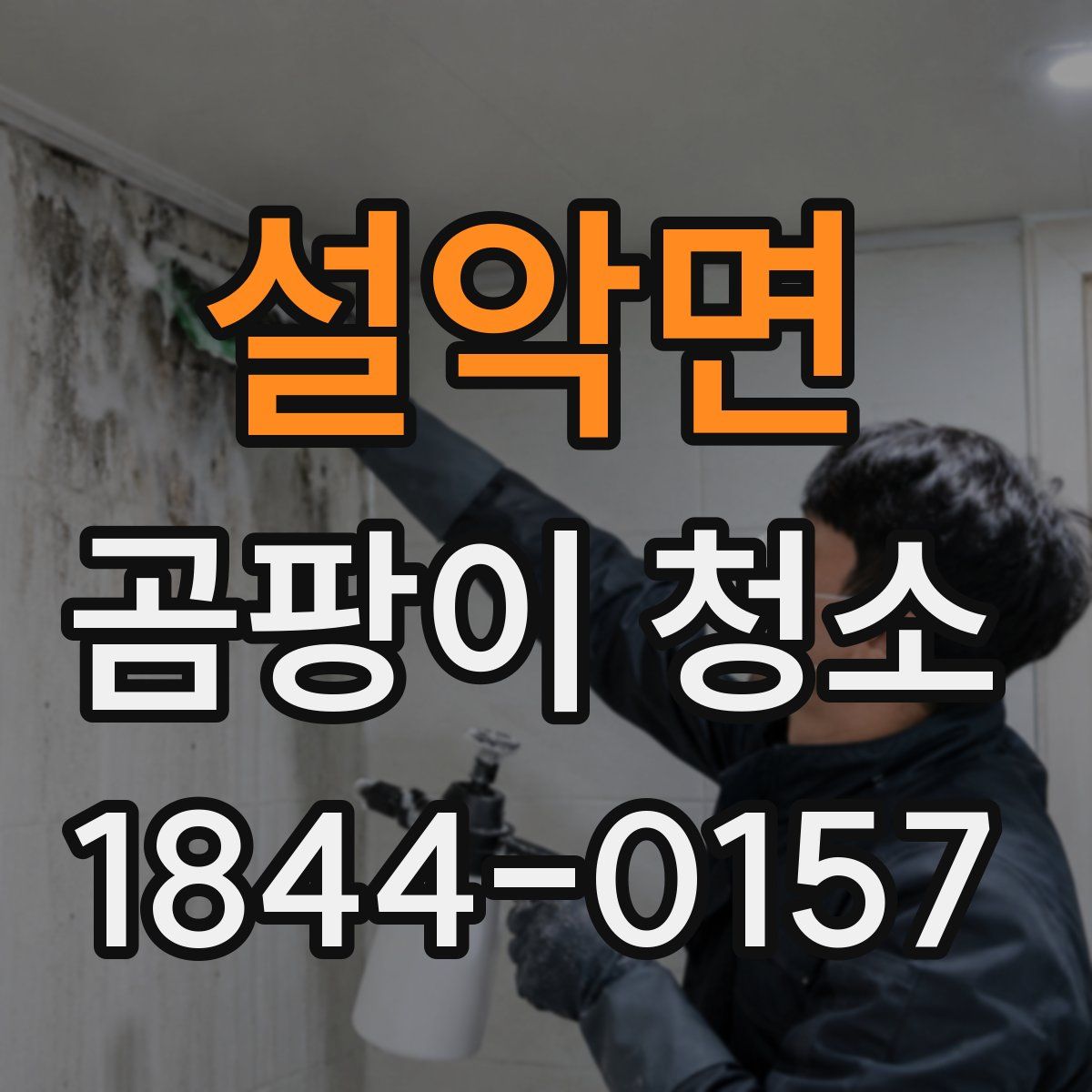 설악면 곰팡이 청소