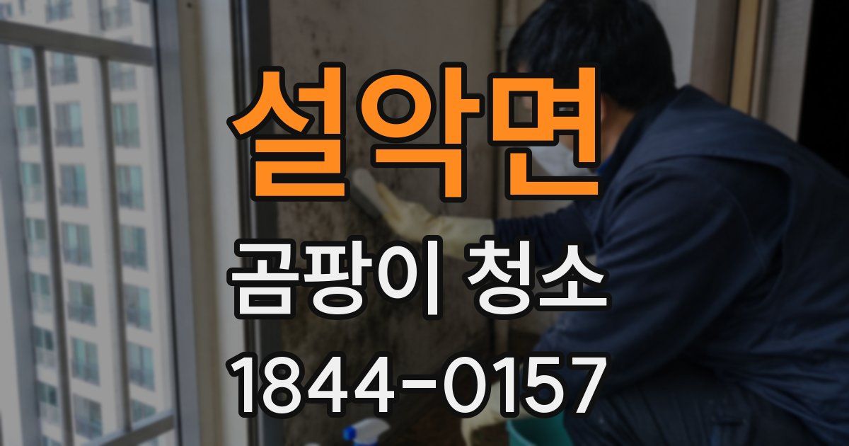 설악면 곰팡이 청소