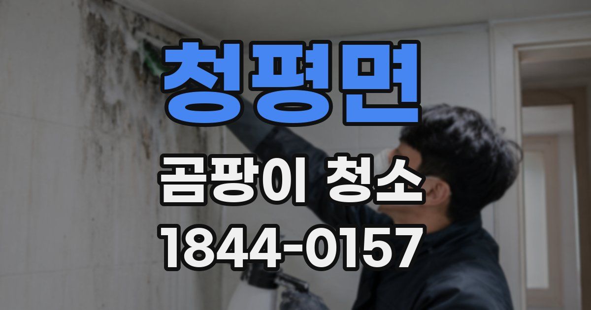 청평면 곰팡이 청소