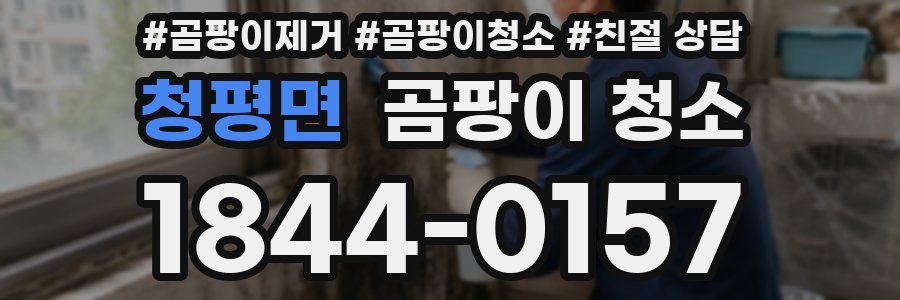 청평면 곰팡이 청소