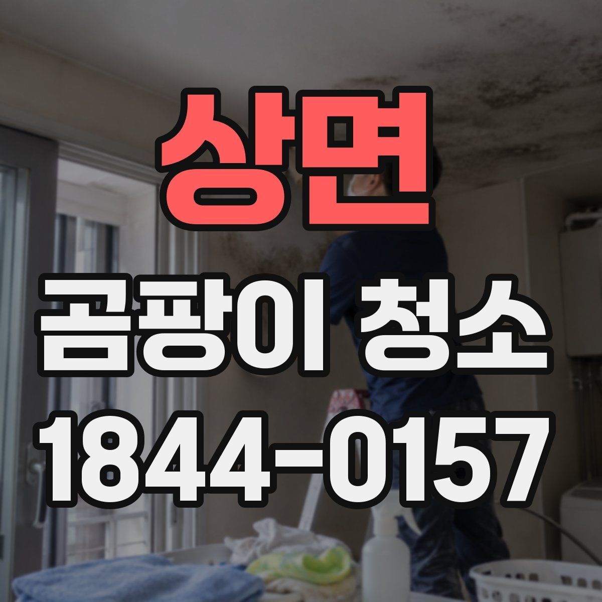 상면 곰팡이 청소