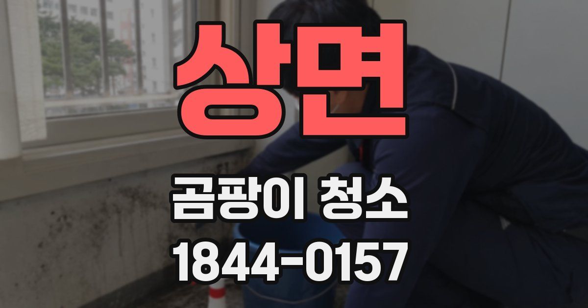 상면 곰팡이 청소