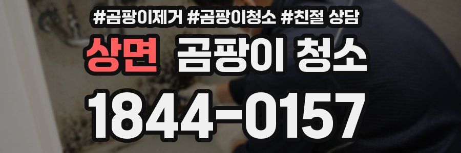 상면 곰팡이 청소