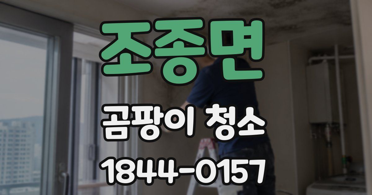 조종면 곰팡이 청소