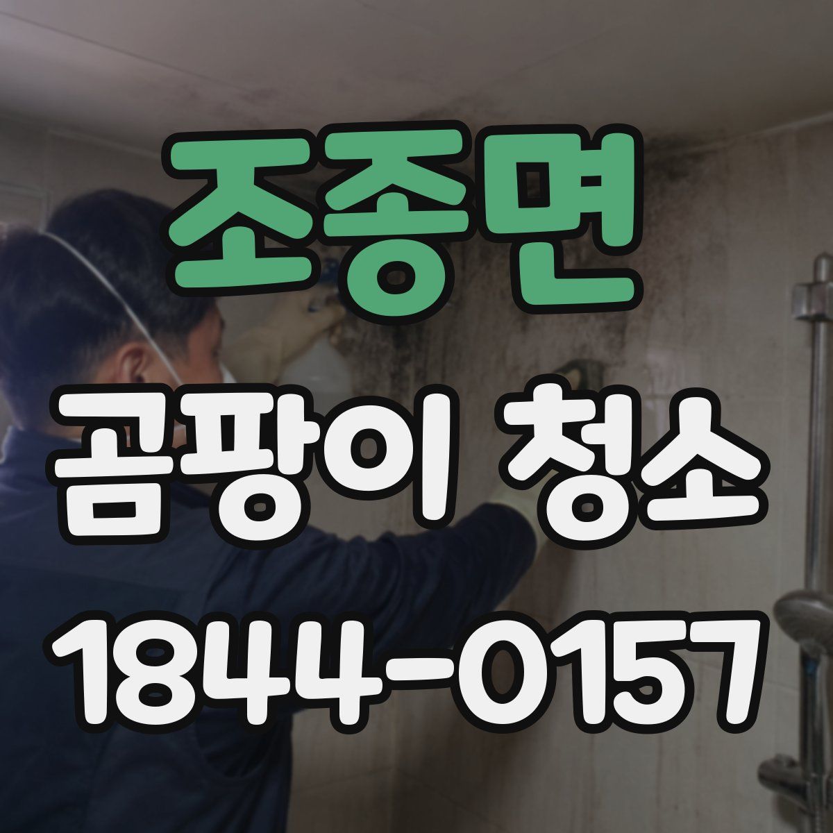 조종면 곰팡이 청소