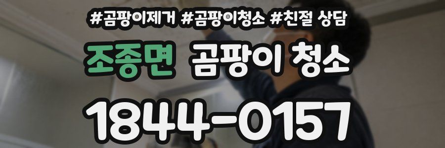 조종면 곰팡이 청소