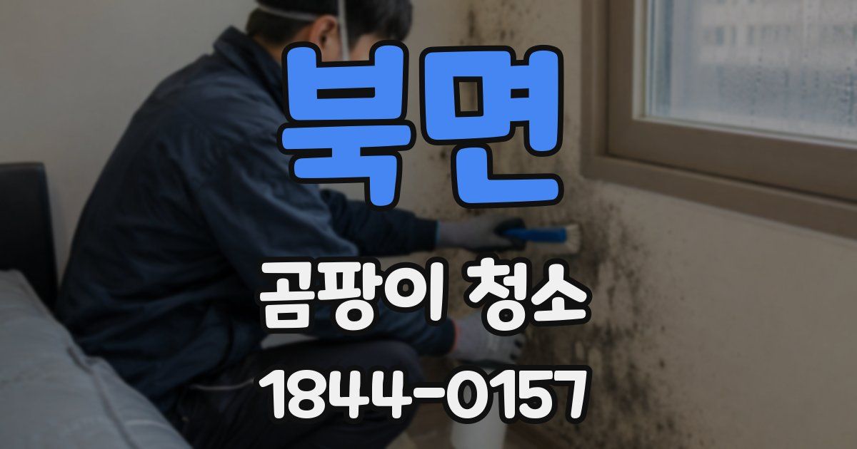 북면 곰팡이 청소