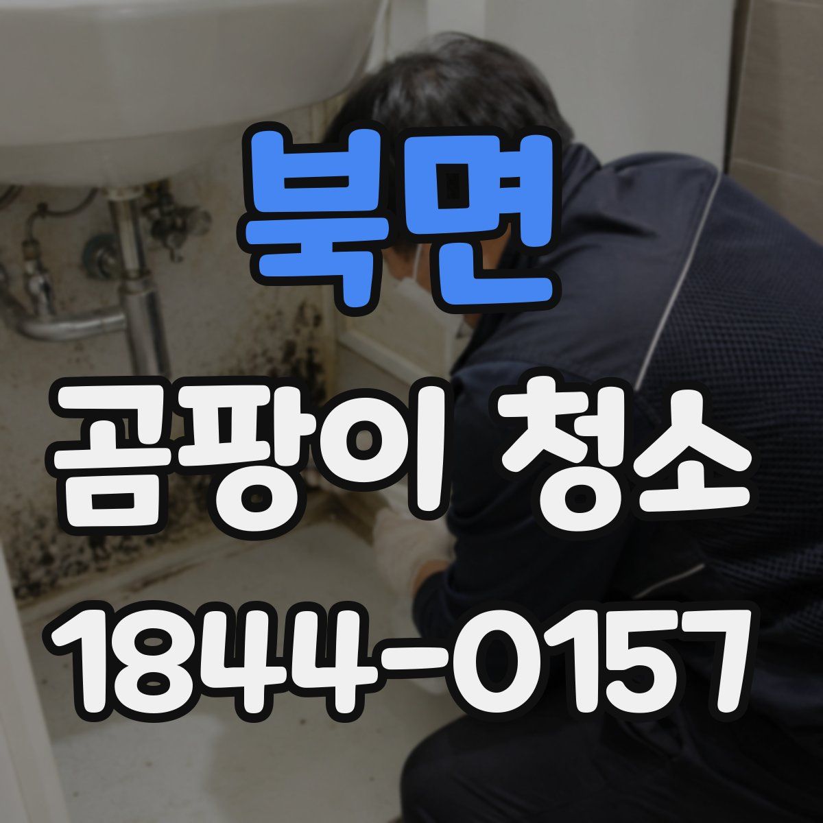 북면 곰팡이 청소