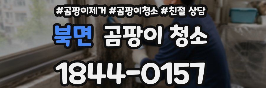 북면 곰팡이 청소