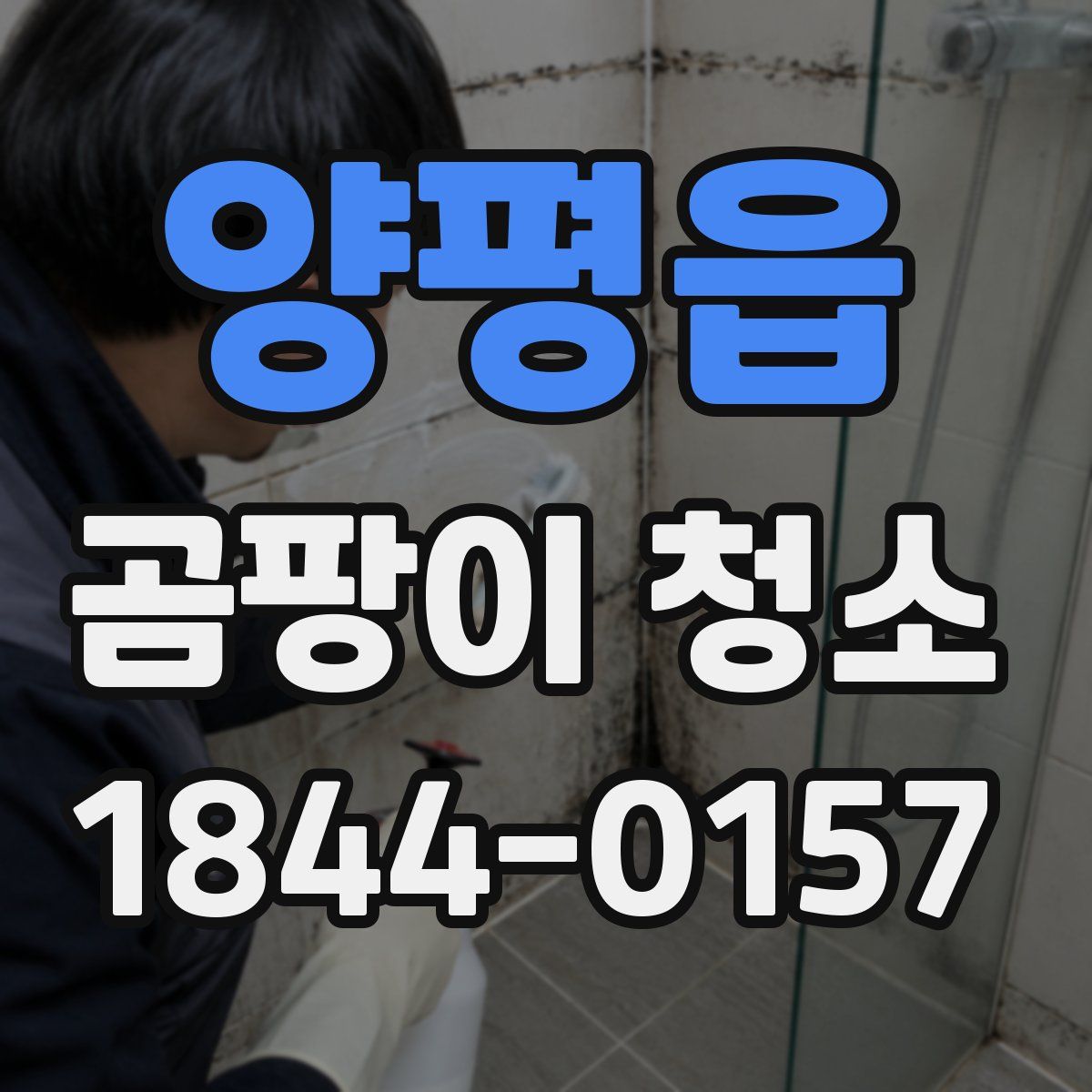양평읍 곰팡이 청소