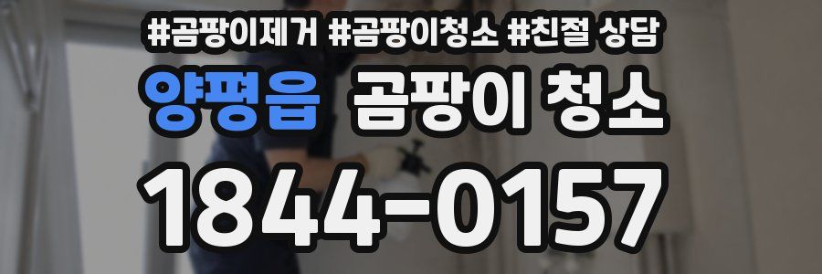 양평읍 곰팡이 청소
