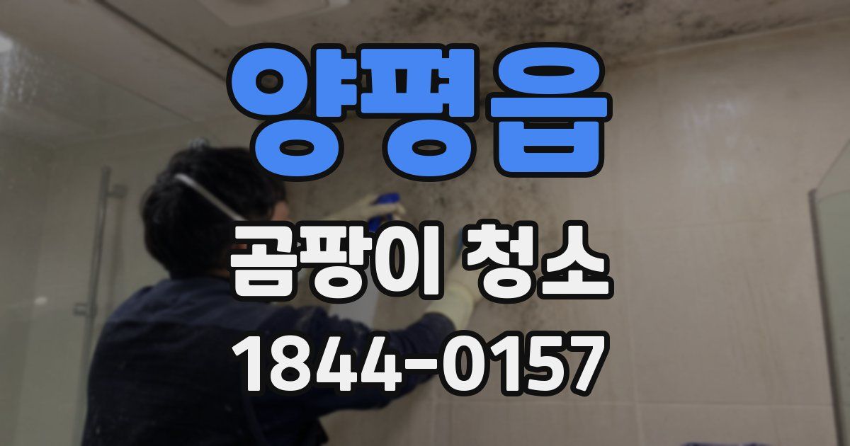 양평읍 곰팡이 청소