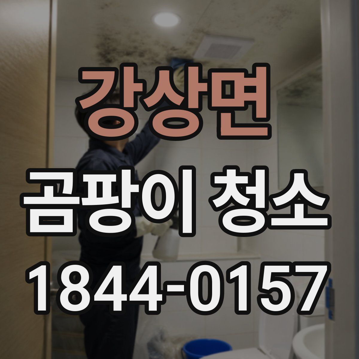 강상면 곰팡이 청소