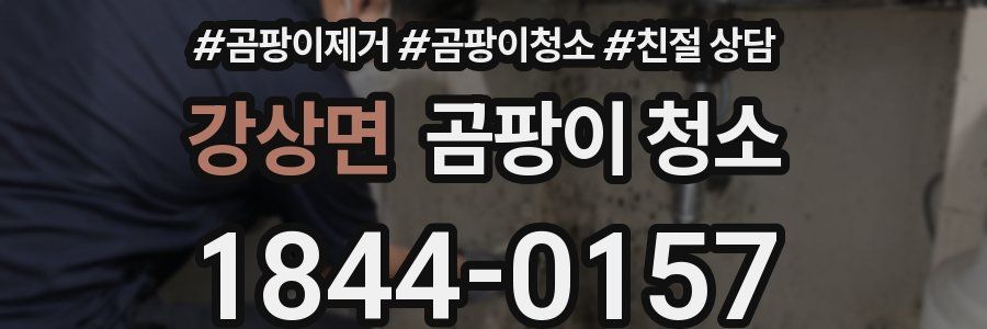 강상면 곰팡이 청소