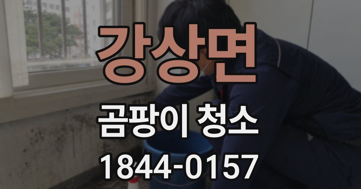강상면 곰팡이 청소